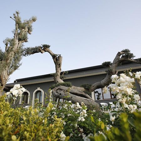 Villa Terra Di Venera Santa Venerina Exterior foto